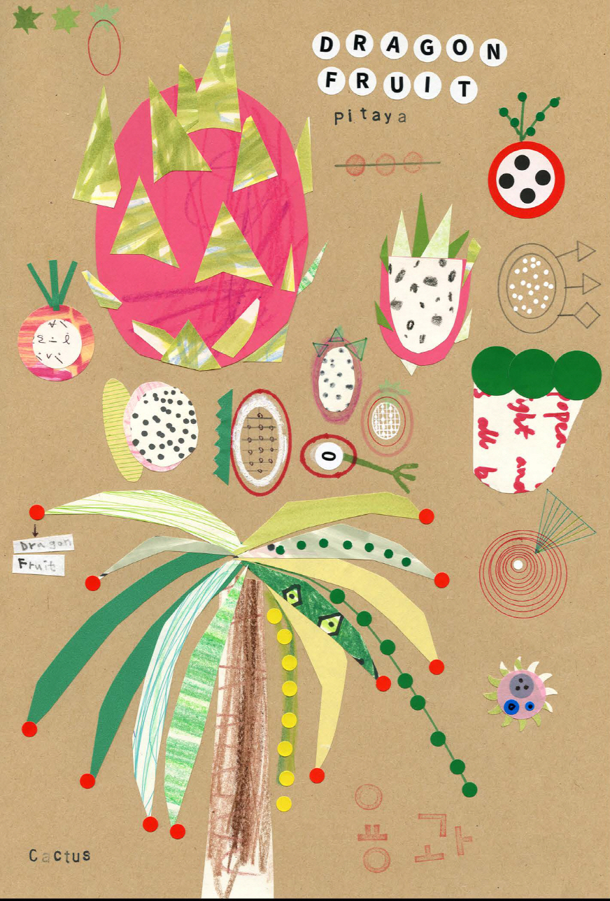 Dragon Fruit