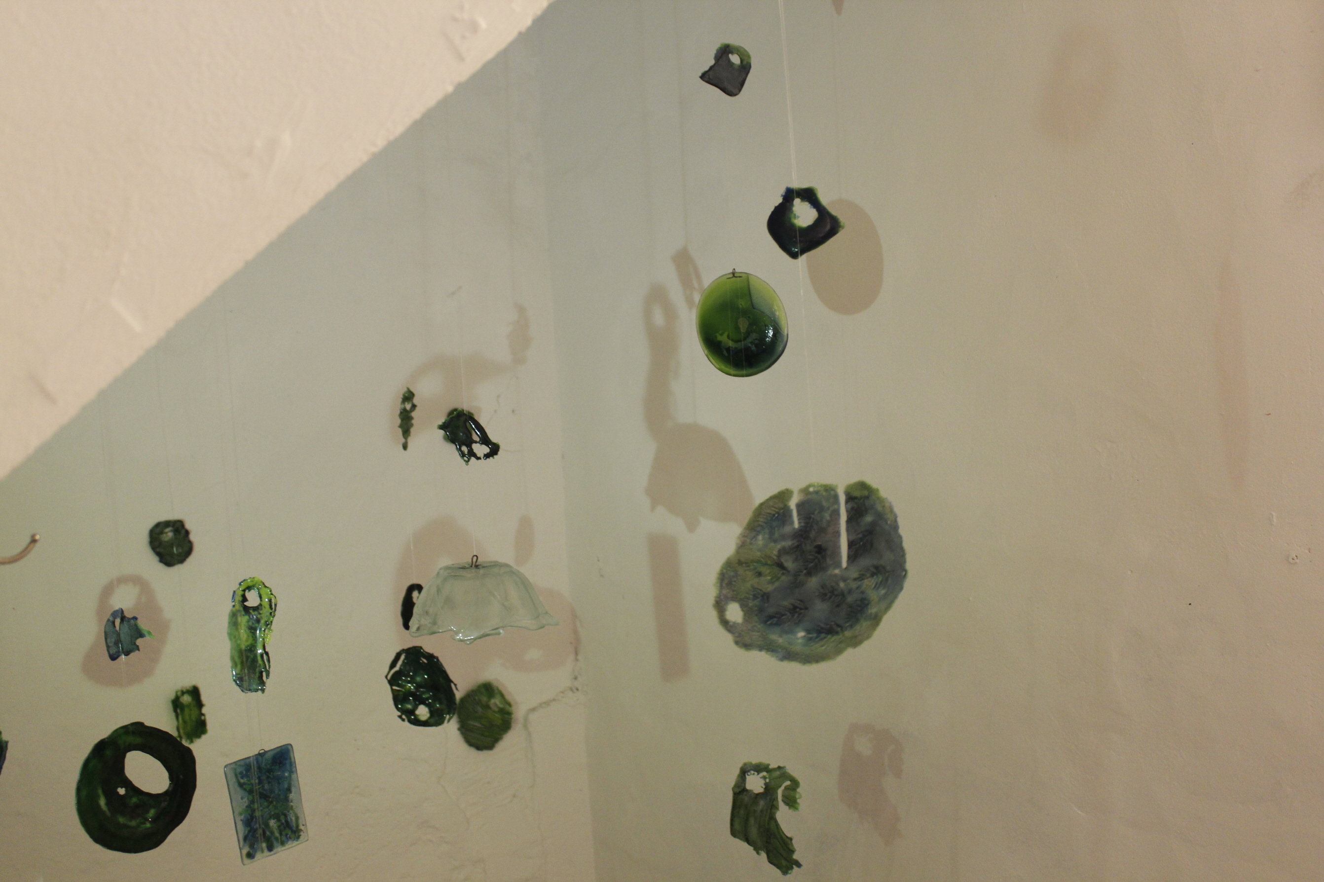 Others Organism(Room)