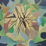 Sunflower 6