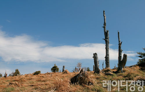 20110414113602_1_spring_tra1_AksqYpv22ER_PMALAFR1w.jpg