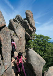 20110414113602_5_spring_tra5_e9mc65Wx6_onYPw7j6CdGt.jpg