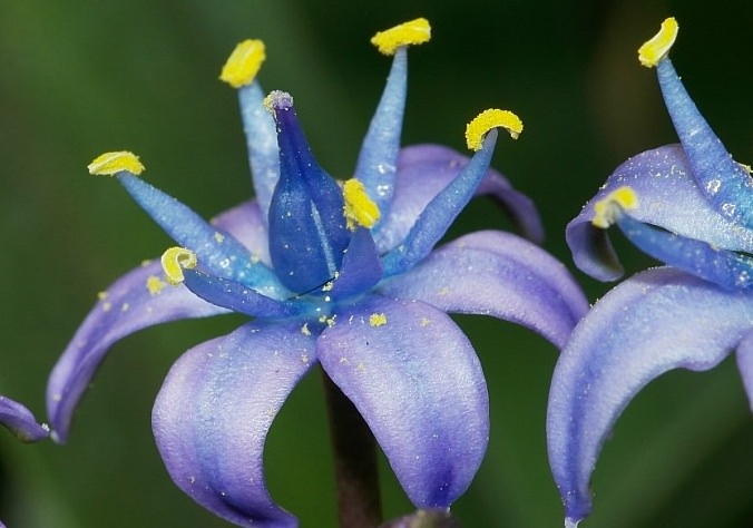 d2MsgAZ_b68EjEgDLAF_yOTZjUaLM2Dx1NR.jpg