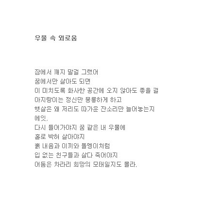 그기 우물 속 외로움