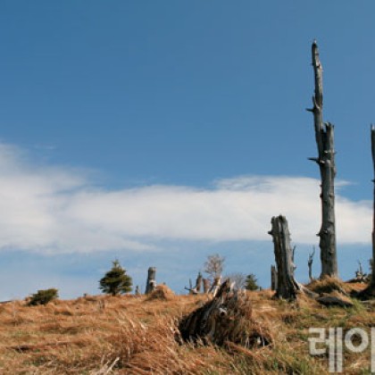 여섯 가지 키워드별로 떠나는 우리나라 봄 여행지 40선