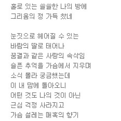 바람꽃 같은 그대는