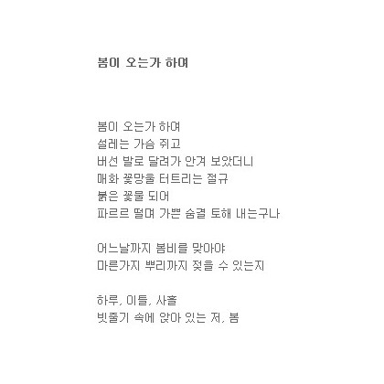 결국 봄이 오는가 하여