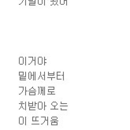 진달래 소식