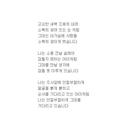 그날 고요한 새벽