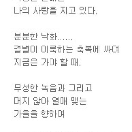 분분한 낙화