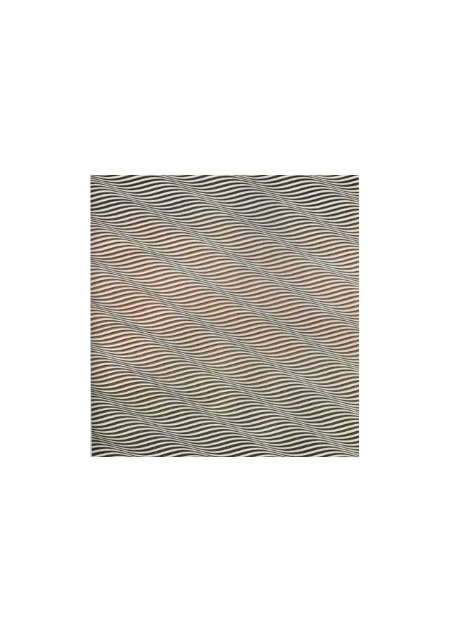 색과 빛의 세계 - 옵아트의 거장 크루즈 디에즈展