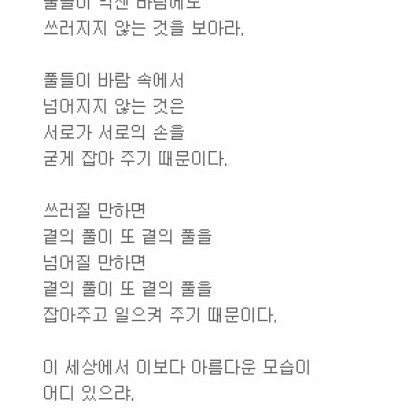 여기 바람 부는 날의 풀