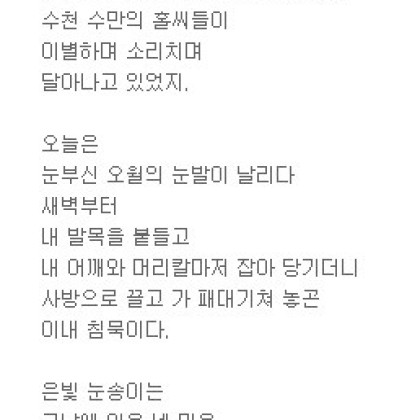 기억의 민들레 홀씨