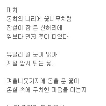 노란 산수유 꽃