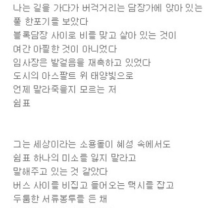 외로운 도시에 비가 내리고 있었다