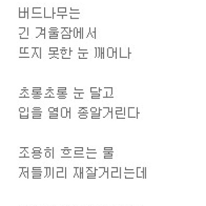 강가에 나온 버드나무의 봄노래