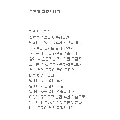 그것이 걱정입니다