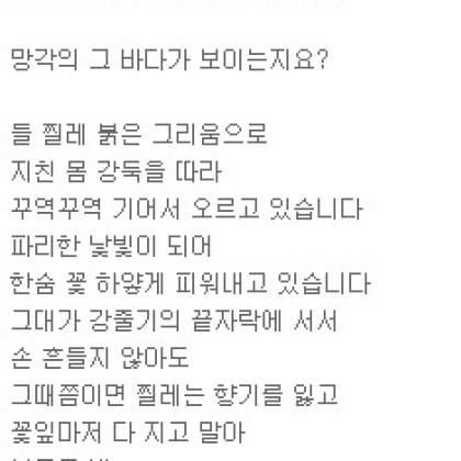 우리의 망각(忘却)의 바다