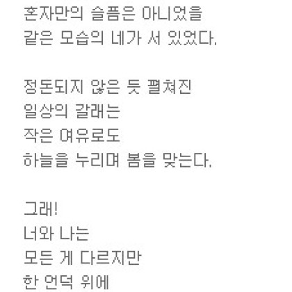 쓸쓸한 나무에게