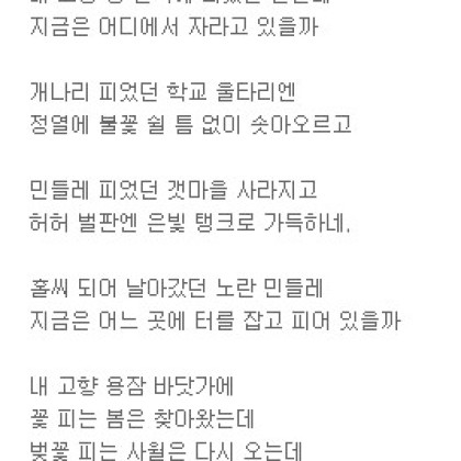 내 고향 민들레