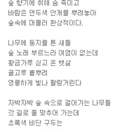 숲으로 가는 길은