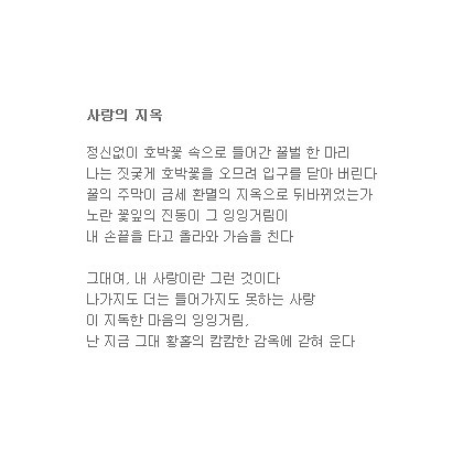 내 사랑의 지옥
