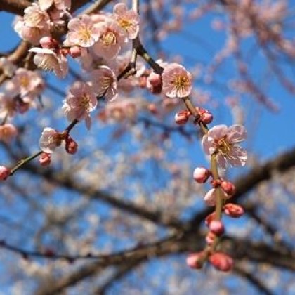 바람 속을 걷는 법