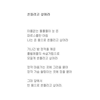 흔들리고 싶어라
