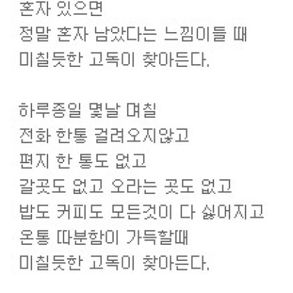 어떤 미칠듯한 고독