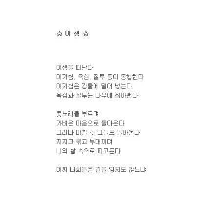 나만의 여행