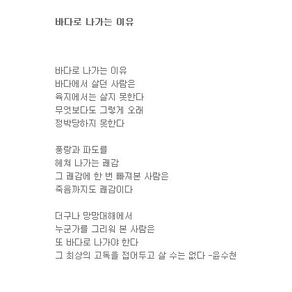 우리가 바다로 나가는 이유
