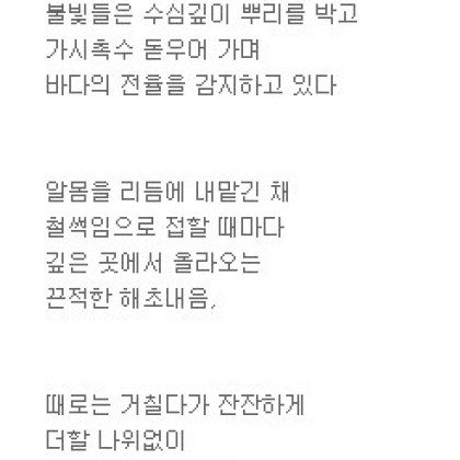 그기 밤바다에서