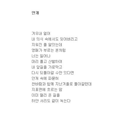 그기 안개
