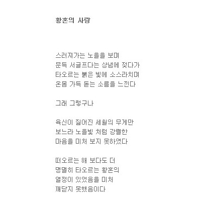 상념 그리고 황혼의 사랑