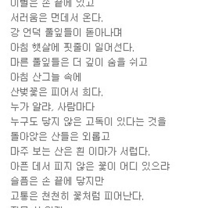 그리운 것들은 다 산 뒤에 있다