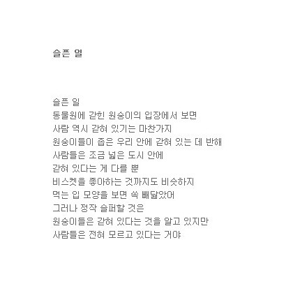 슬픈 일 이