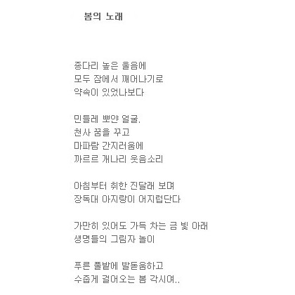 봄의 노래