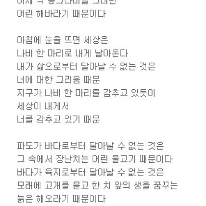 파도가 바다로부터