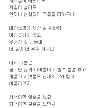 솔향 가득한 청솔 보며