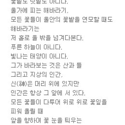 나의 해바라기꽃