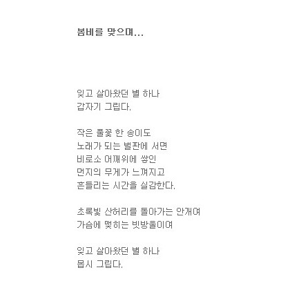 봄비를 맞으며