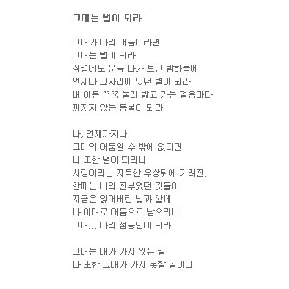 나 그대는 별이 되라
