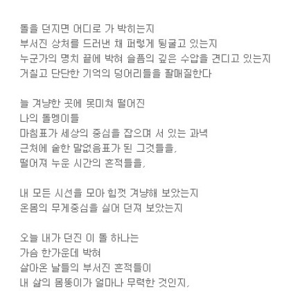 내가 던진  돌 하나