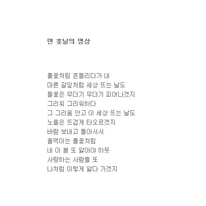 먼 훗날의 명상