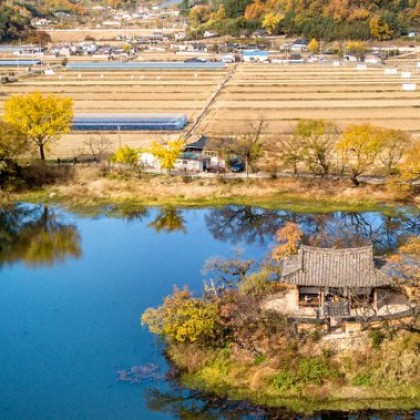 자줏빛 미사복을 입은