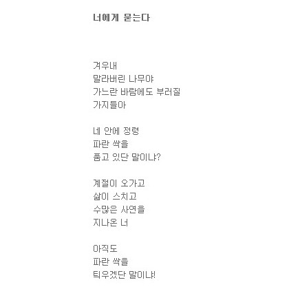 너에게 묻는다