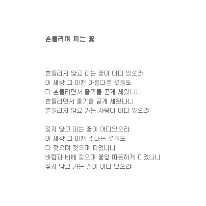 여기 흔들리며 피는 꽃