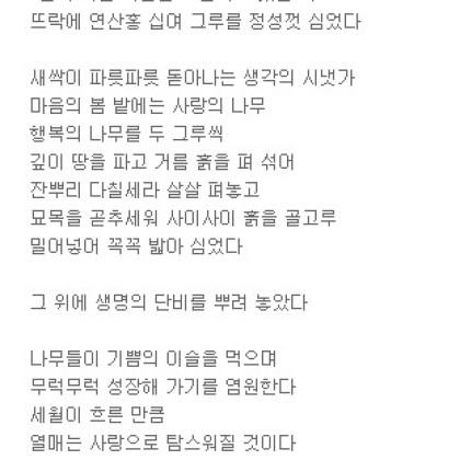 마음의 봄 밭에는 사랑이 열리고