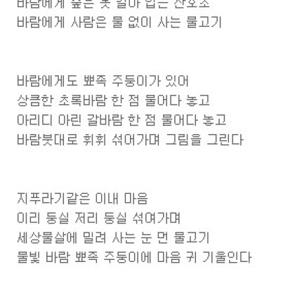 바람이물어다주는세상