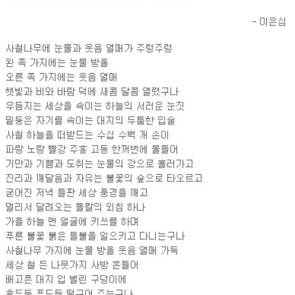 외로운 사철나무에 눈물과 웃음 열매가 주렁주렁