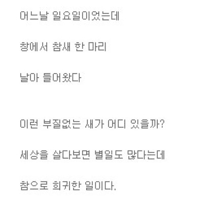 나의 창에서 사는 새